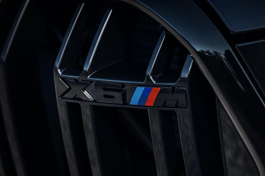 Логотип BMW X6 M Competition (F86) 2019 года  (WW) (фото 36 из 78)